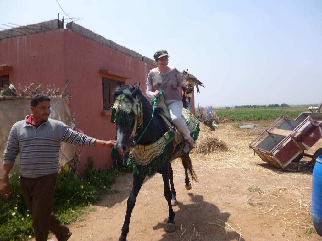 Riad Ksar El Jadida Maroc Екстер'єр фото