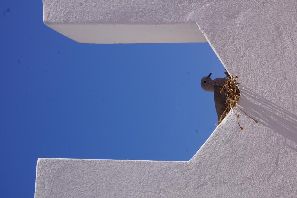 Riad Ksar El Jadida Maroc Екстер'єр фото